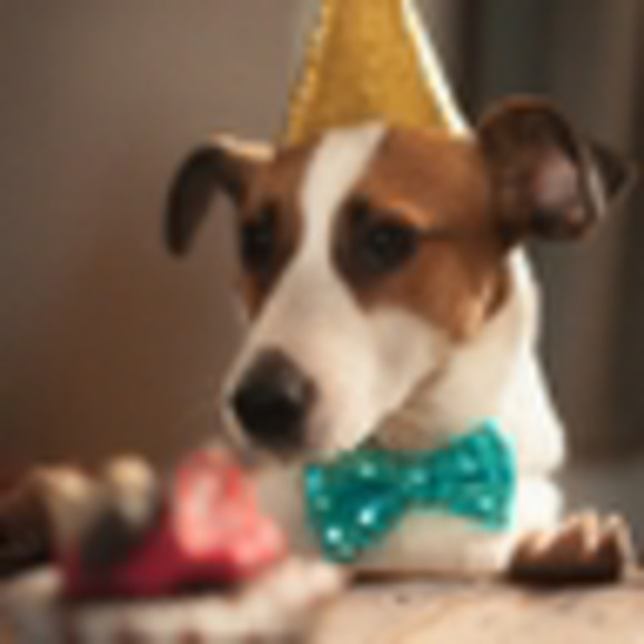 Meet your Posher, C a - Picture 1 of 1